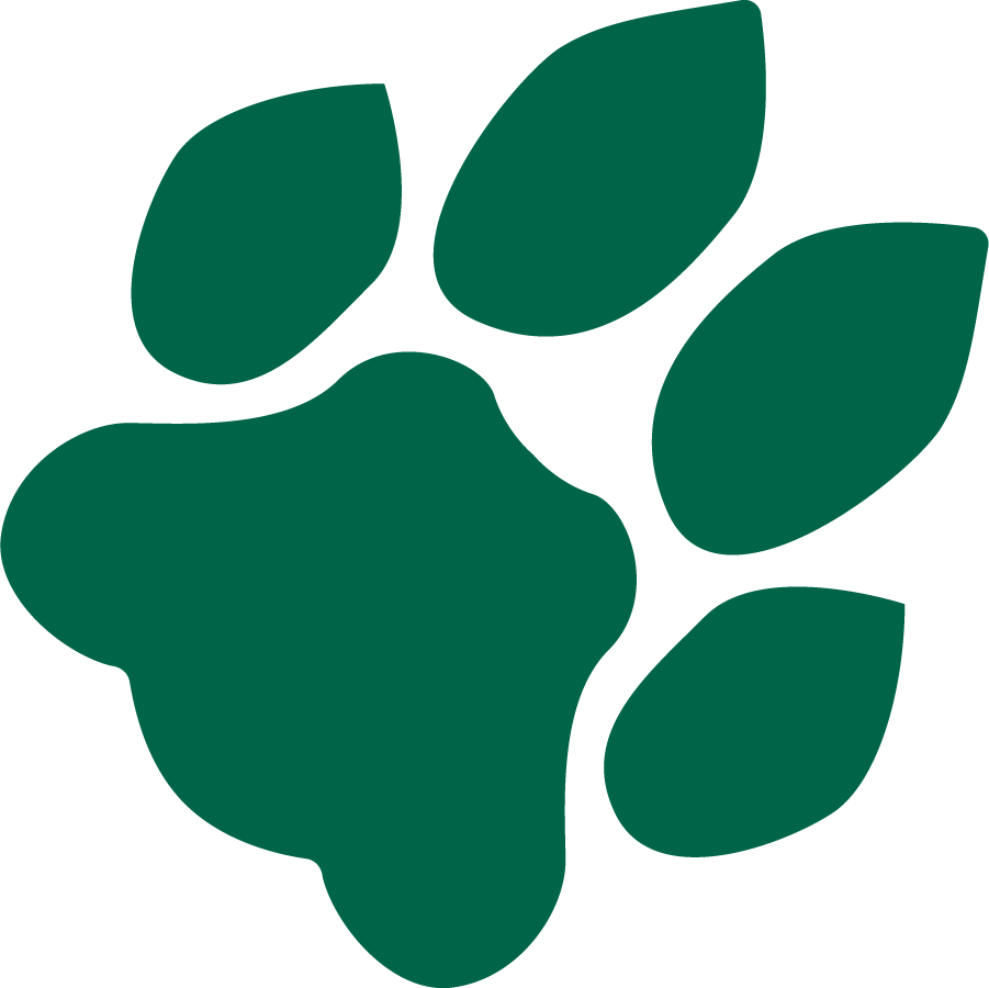 Ohio Bobcats 1978-1996 Primary Logo diy iron on heat transfer